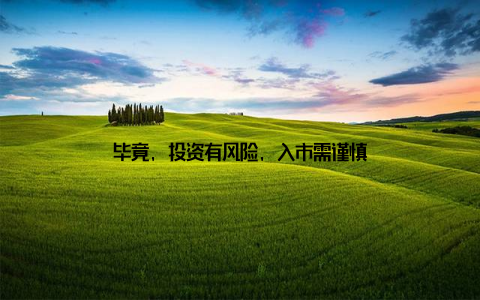 毕竟, 投资有风险, 入市需谨慎