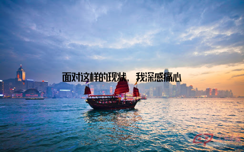 面对这样的现状, 我深感痛心