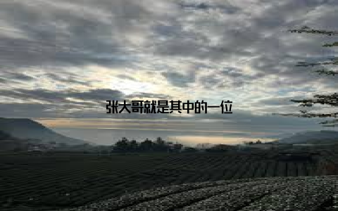 张大哥就是其中的一位