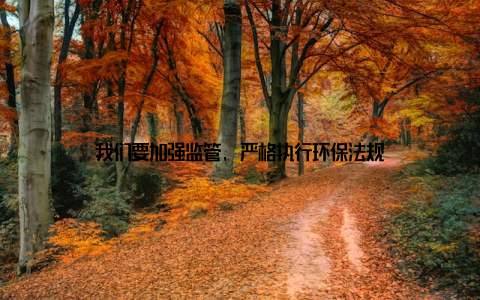 我们要加强监管, 严格执行环保法规