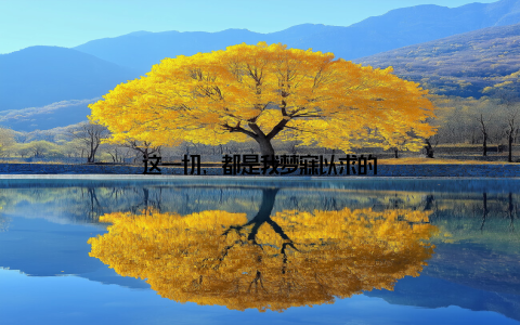 这一切, 都是我梦寐以求的