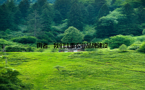 再者, 我们注重农业品牌建设