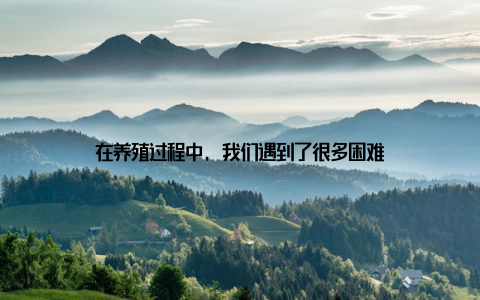 在养殖过程中, 我们遇到了很多困难