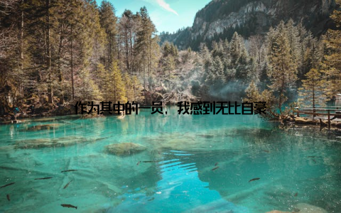 作为其中的一员, 我感到无比自豪