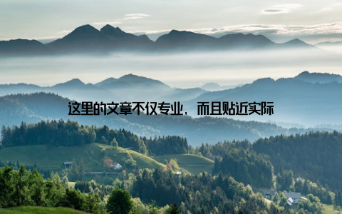 这里的文章不仅专业, 而且贴近实际
