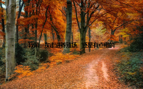 我第一次走进养殖场, 还是有点懵的