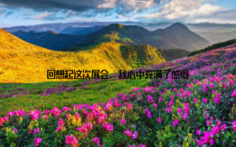 回想起这次展会, 我心中充满了感慨