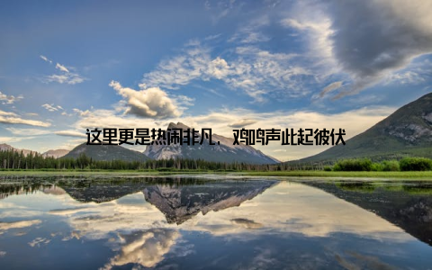 这里更是热闹非凡, 鸡鸣声此起彼伏