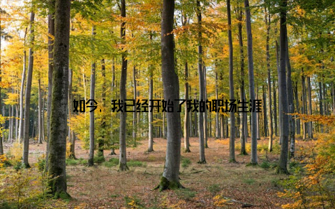 如今, 我已经开始了我的职场生涯