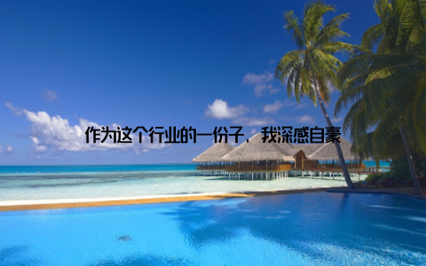 作为这个行业的一份子, 我深感自豪