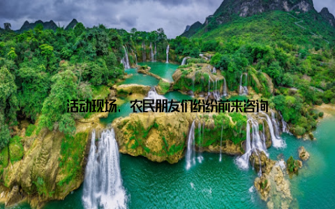 活动现场, 农民朋友们纷纷前来咨询