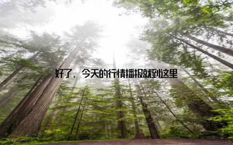 好了, 今天的行情播报就到这里