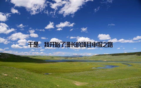 于是, 我开始了漫长的项目申报之路