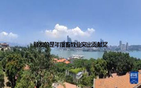 颁发的是年度畜牧业突出贡献奖
