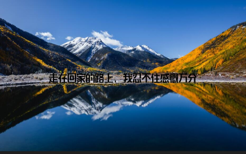走在回家的路上, 我忍不住感慨万分
