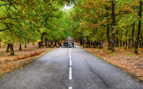 只见人头攒动, 气氛热烈