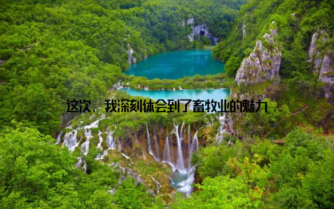 这次, 我深刻体会到了畜牧业的魅力