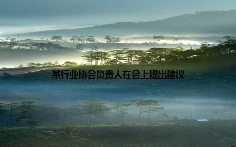 某行业协会负责人在会上提出建议