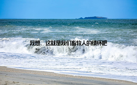 我想, 这就是我们畜牧人的情怀吧
