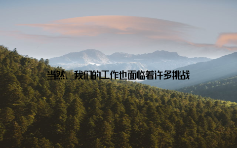 当然, 我们的工作也面临着许多挑战
