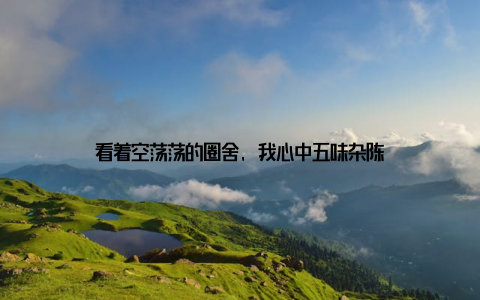 看着空荡荡的圈舍, 我心中五味杂陈