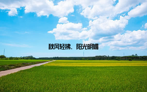 秋风轻拂, 阳光明媚