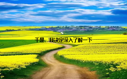 于是, 我决定深入了解一下