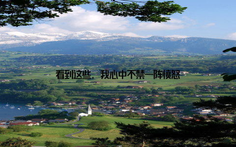 看到这些, 我心中不禁一阵愤怒