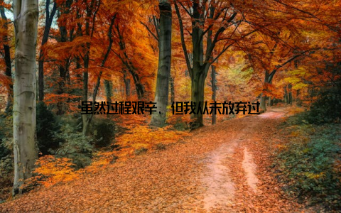 虽然过程艰辛, 但我从未放弃过