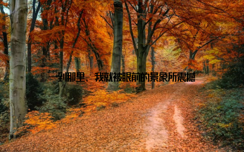 一到那里, 我就被眼前的景象所震撼