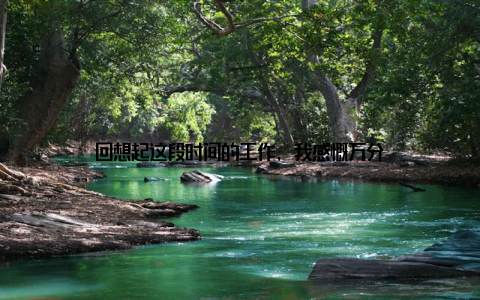 回想起这段时间的工作, 我感慨万分